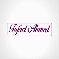 Ahmed Demo logo